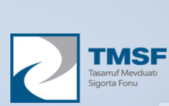 TMSF, Erciyes Anadolu Holding’e bağlı 6 şirketin ihale sonuçlarını açıkladı